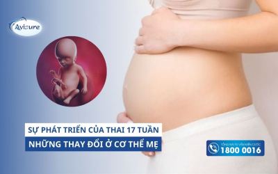 Thai 17 tuần phát triển thế nào? Cơ thể mẹ thay đổi ra sao?